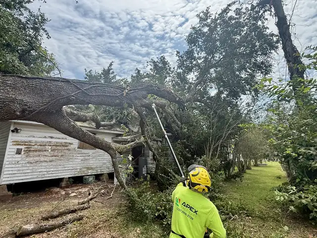 Apex Tree Care crew member cutting a storm-fallen oak limb away from a house
