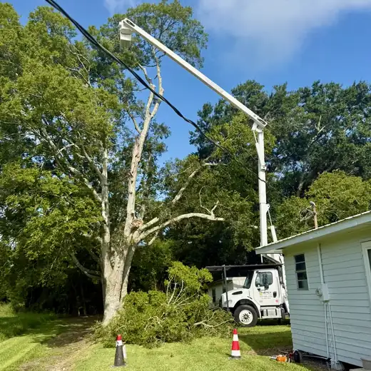 Bucket truck removing a damaged tree beside a home